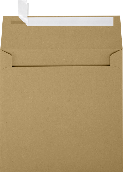 Grocery Bag 28lb 6 x 6 Square Envelopes with Peel & Seal