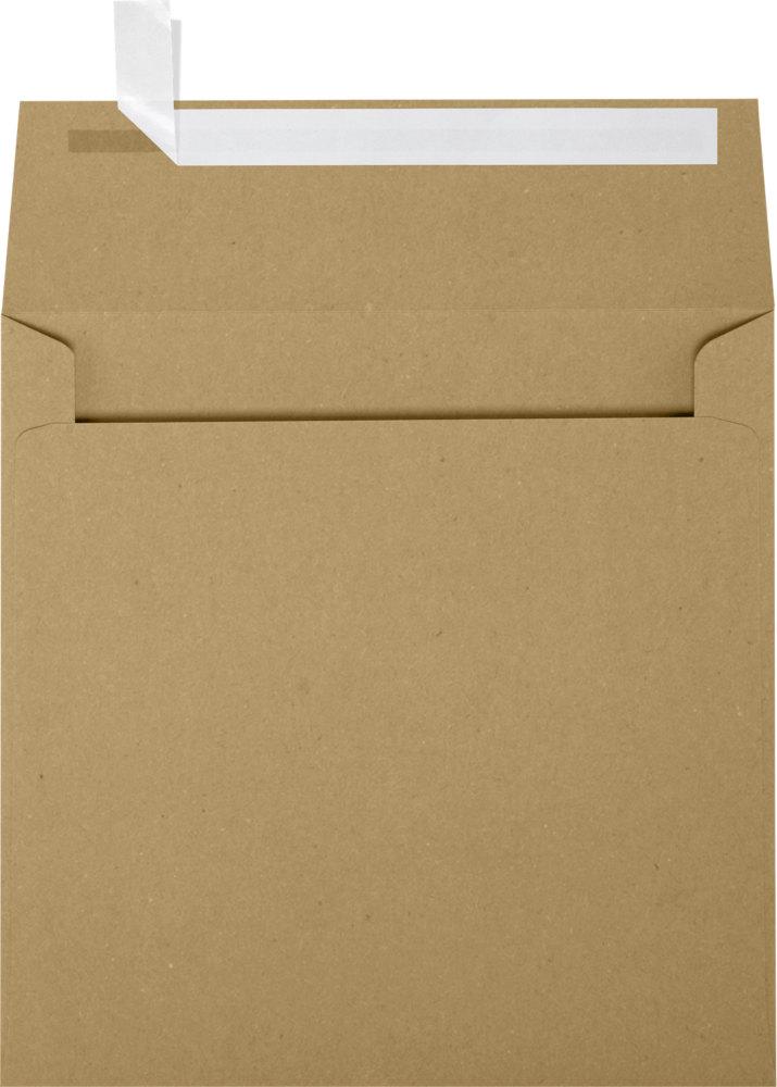 Grocery Bag 28lb 6 x 6 Square Envelopes with Peel & Seal