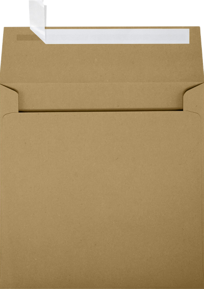 Grocery Bag 28lb 6 1/4 x 6 1/4 Square Envelopes with Peel & Seal
