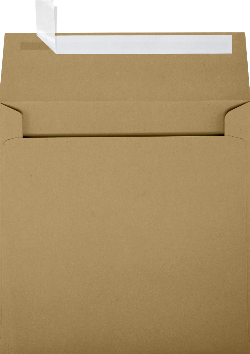 Grocery Bag 28lb 6 1/4 x 6 1/4 Square Envelopes with Peel & Seal