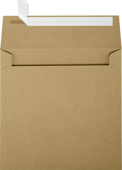 Grocery Bag 28lb 6 1/2 x 6 1/2 Square Envelopes with Peel & Seal