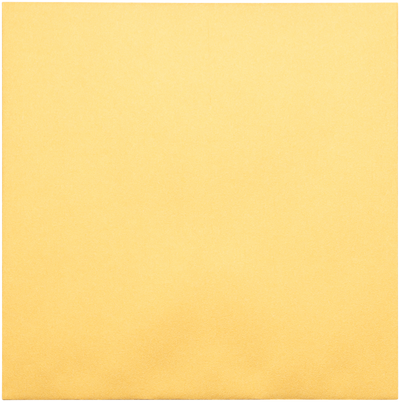 Gold Metallic 32lb 8 x 8 Square Envelopes with Peel & Seal