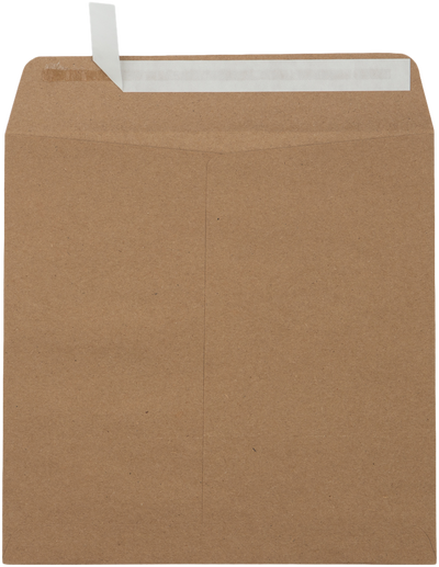 Grocery Bag 28lb 8 x 8 Square Envelopes with Peel & Seal