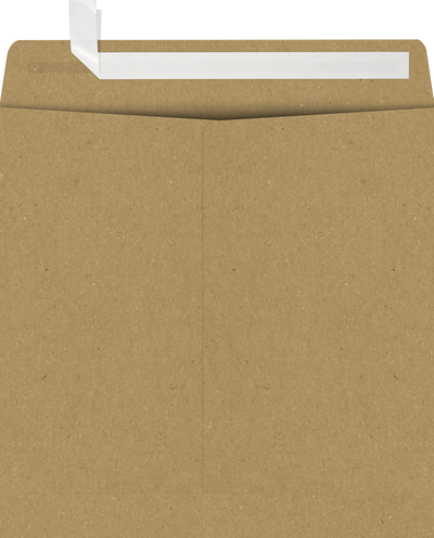 Grocery Bag 28lb 9 x 9 Square Envelopes with Peel & Seal