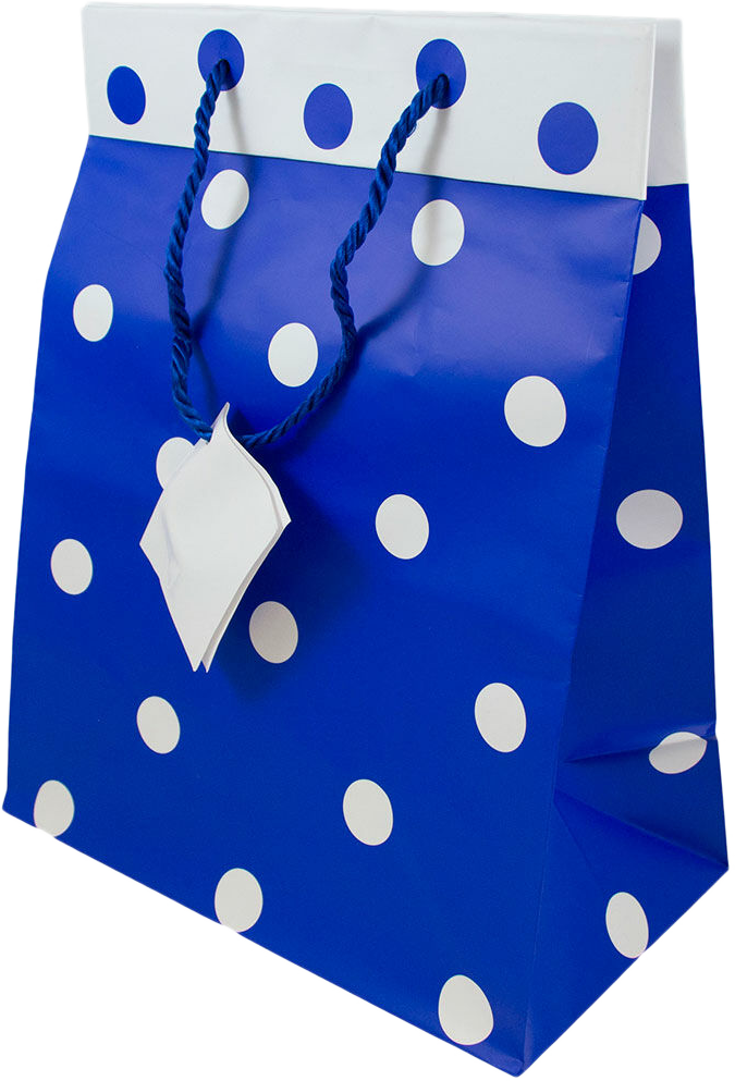Blue and White Polka Dot Large Gift Bags (10 x 13 x 6)
