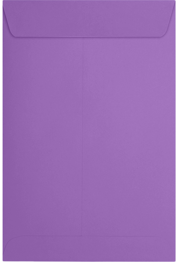 Assorted Brights 6 x 9 Open End Envelopes - 60 Pack