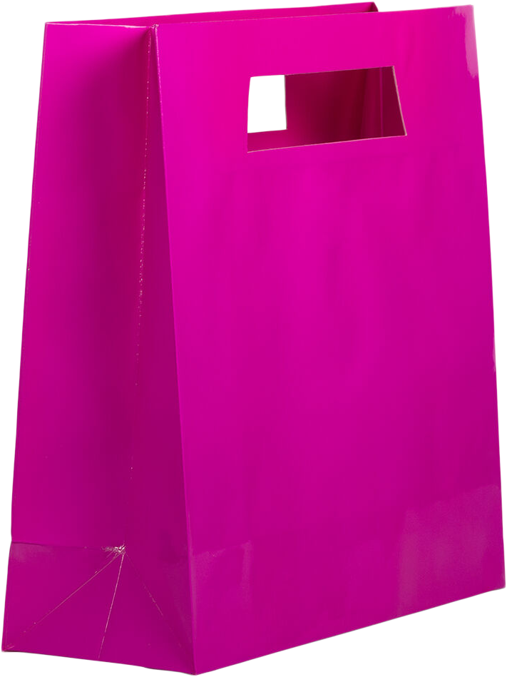 Fuchsia Large Glossy Gift Bags with Die-Cut Handles (15 x 15 x 5 1/2)