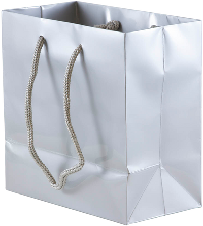 Silver Small Glossy Gift Bags (6 1/2 x 6 1/2 x 3 1/2)