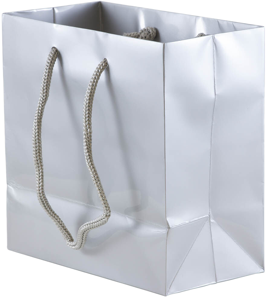Silver Small Glossy Gift Bags (6 1/2 x 6 1/2 x 3 1/2)