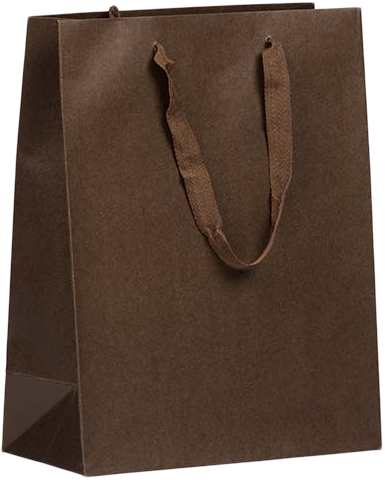 Chocolate Brown Kraft Recycled Large Matte Heavy Duty Gift Bags (10 x 13 x 5)