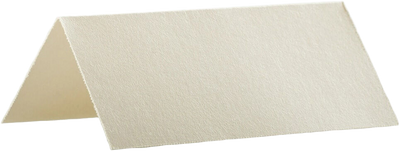 Opal Metallic 3 3/4 x 1 3/4 Printable Place Cards
