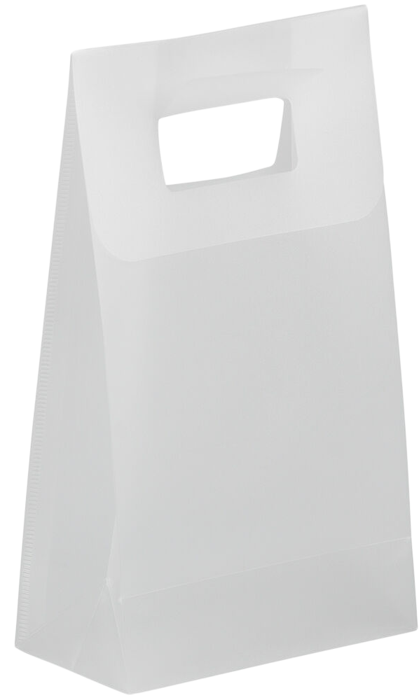 Clear Frosted Medium Plastic Lunch Bags (4 3/4 x 8 1/4 x 2 1/2)