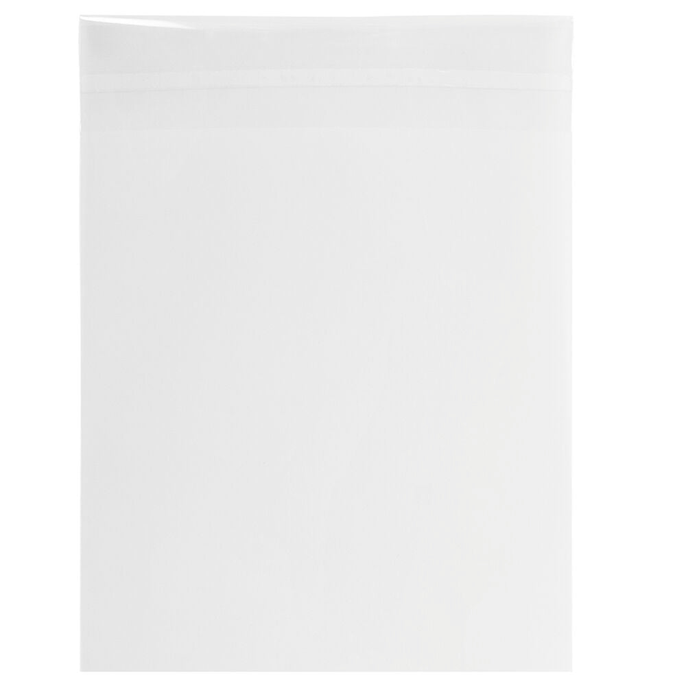 Clear 1.6mil 9 1/4 x 12 1/4 Cello Envelopes with Peel & Seal