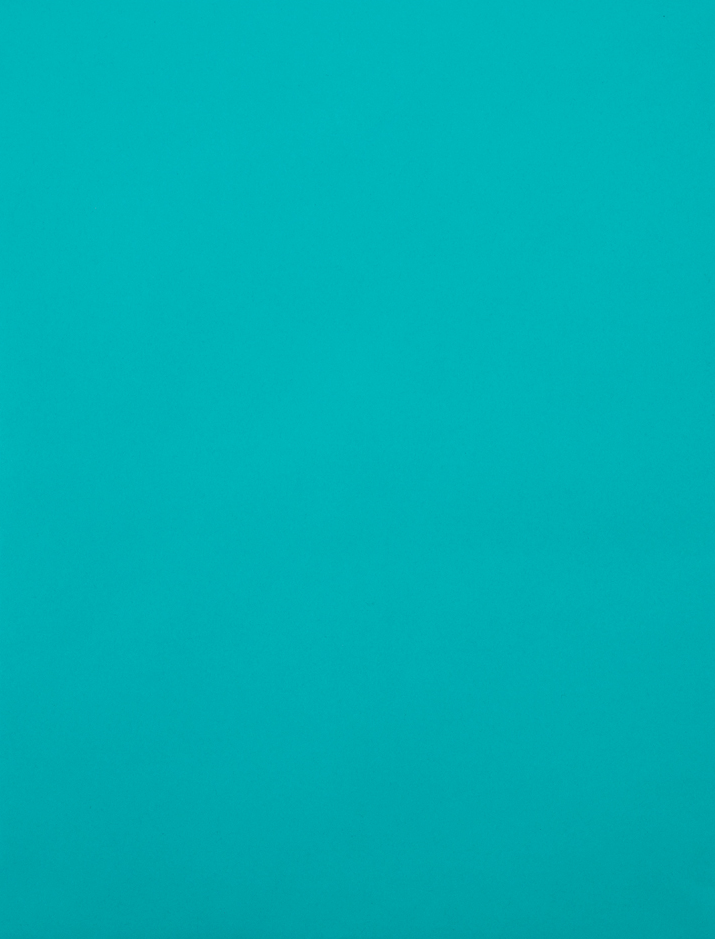 Sea Blue 24lb 10 x 13 Open End Envelopes with Clasp
