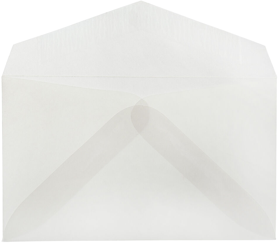 Clear Translucent 28lb #63 2Pay Envelopes (2 1/2 x 4 1/4)