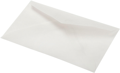 Clear Translucent 28lb #63 2Pay Envelopes (2 1/2 x 4 1/4)
