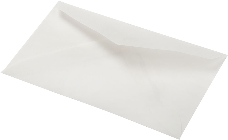 Clear Translucent 28lb #63 2Pay Envelopes (2 1/2 x 4 1/4)
