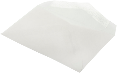 Clear Translucent 28lb #63 2Pay Envelopes (2 1/2 x 4 1/4)