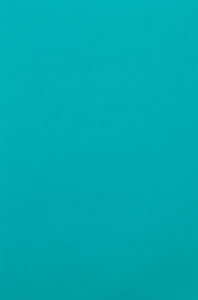 Sea Blue 24lb 6 x 9 Open End Envelopes with Clasp