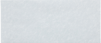 Blue Parchment 24lb #10 Regular Envelopes (4 1/8 x 9 1/2)