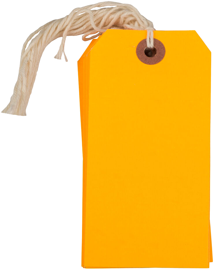 Neon Orange Medium Gift Tags (4 1/4 x 2 3/8) - 10 Pack