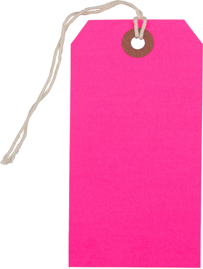Neon Pink Medium Gift Tags (4 1/4 x 2 3/8) - 10 Pack