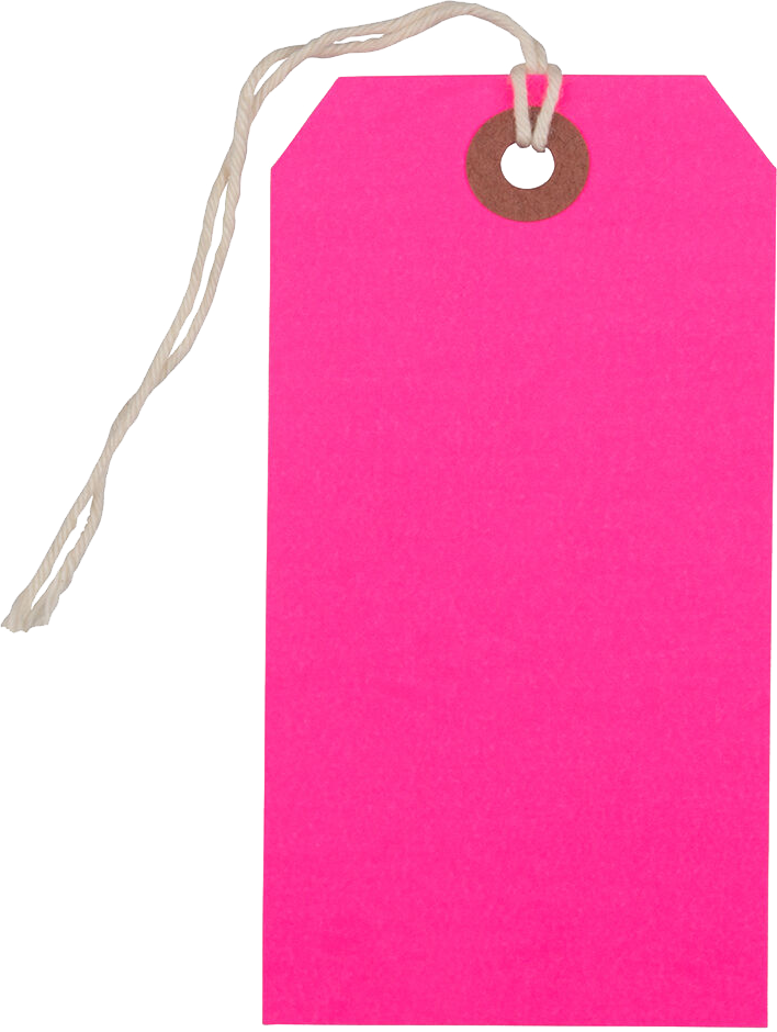 Neon Pink Medium Gift Tags (4 1/4 x 2 3/8) - 10 Pack