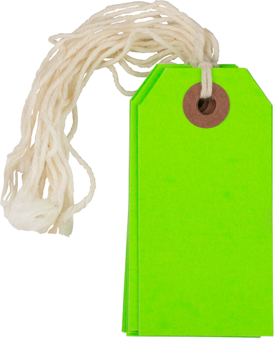 Neon Green Small Gift Tags (3 1/4 x 1 5/8) - 10 Pack