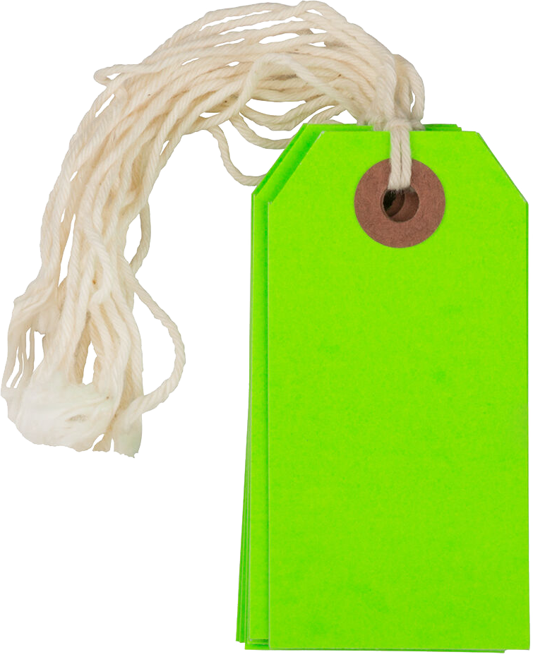 Neon Green Small Gift Tags (3 1/4 x 1 5/8) - 10 Pack