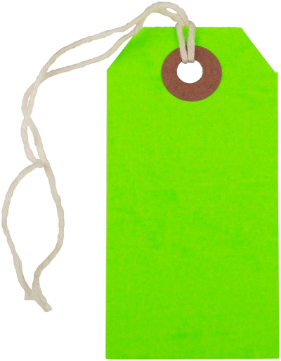 Neon Green Small Gift Tags (3 1/4 x 1 5/8) - 10 Pack