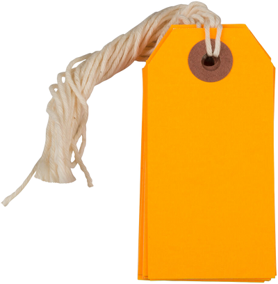 Neon Orange Small Gift Tags (3 1/4 x 1 5/8) - 10 Pack