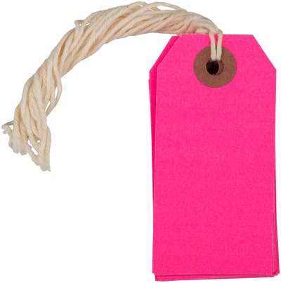 Neon Pink Small Gift Tags (3 1/4 x 1 5/8) - 10 Pack
