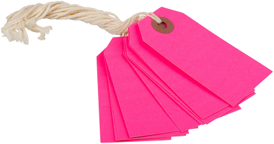 Neon Pink Small Gift Tags (3 1/4 x 1 5/8) - 10 Pack