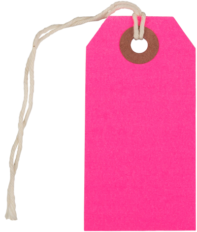 Neon Pink Small Gift Tags (3 1/4 x 1 5/8) - 10 Pack