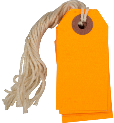 Neon Orange Tiny Gift Tags (2 3/4 x 1 3/8) - 10 Pack