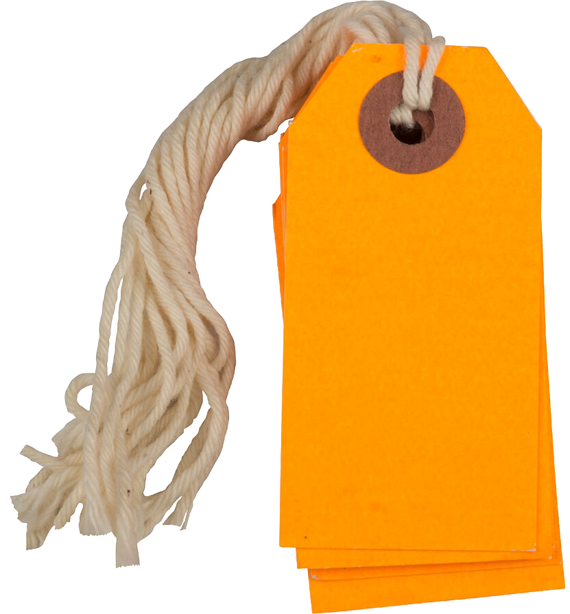 Neon Orange Tiny Gift Tags (2 3/4 x 1 3/8) - 10 Pack