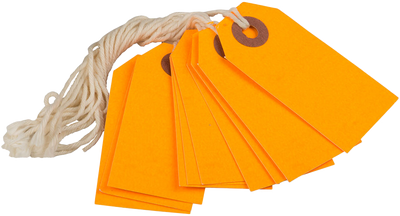 Neon Orange Tiny Gift Tags (2 3/4 x 1 3/8) - 10 Pack