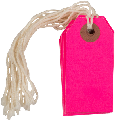 Neon Pink Tiny Gift Tags (2 3/4 x 1 3/8) - 10 Pack