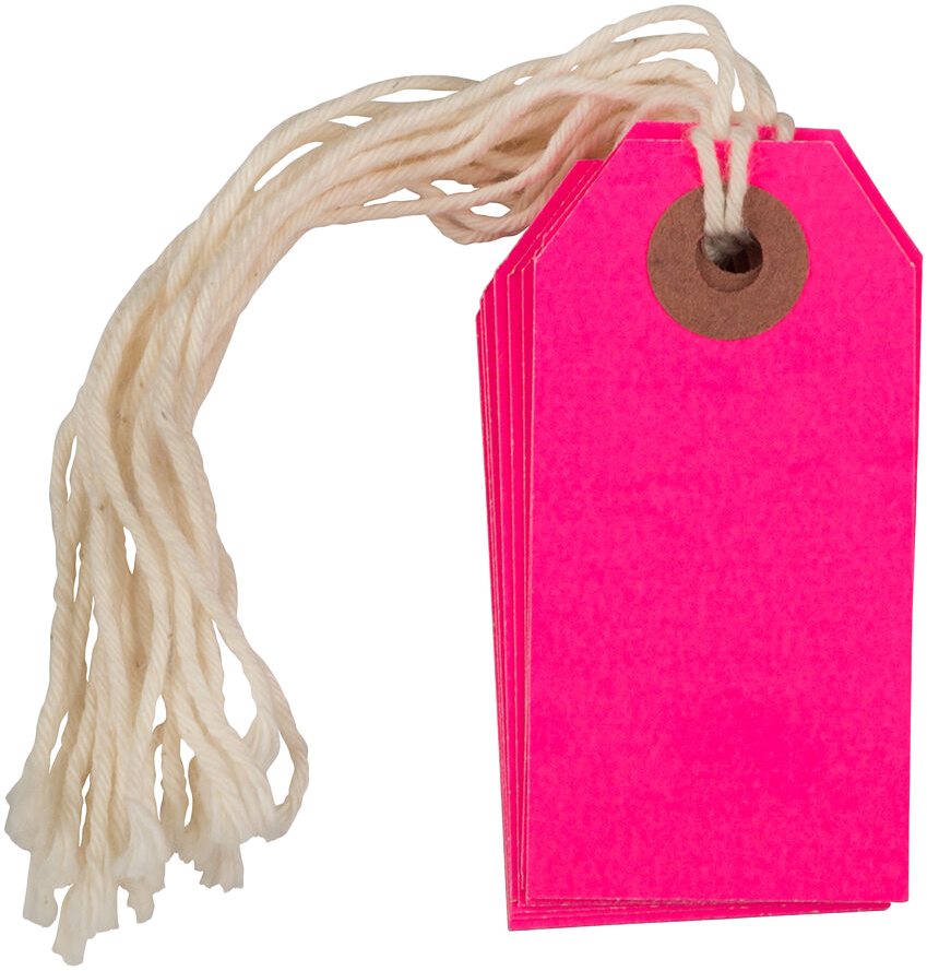 Neon Pink Tiny Gift Tags (2 3/4 x 1 3/8) - 10 Pack