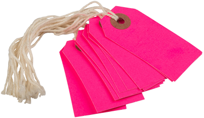 Neon Pink Tiny Gift Tags (2 3/4 x 1 3/8) - 10 Pack