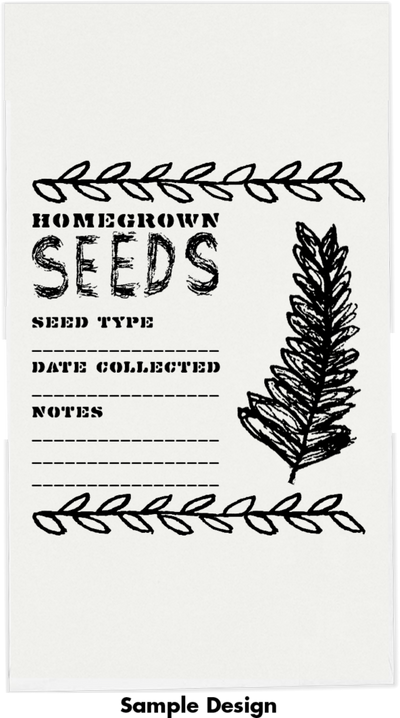 White 24lb #5 1/2 Coin Envelopes (3 1/8 x 5 1/2)