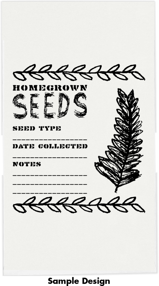 White 24lb #5 1/2 Coin Envelopes (3 1/8 x 5 1/2)