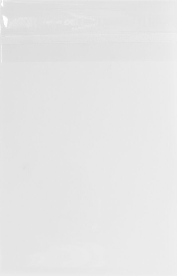 Clear 1.6mil A10 Invitation Envelopes (6 x 9 1/2) with Peel & Seal