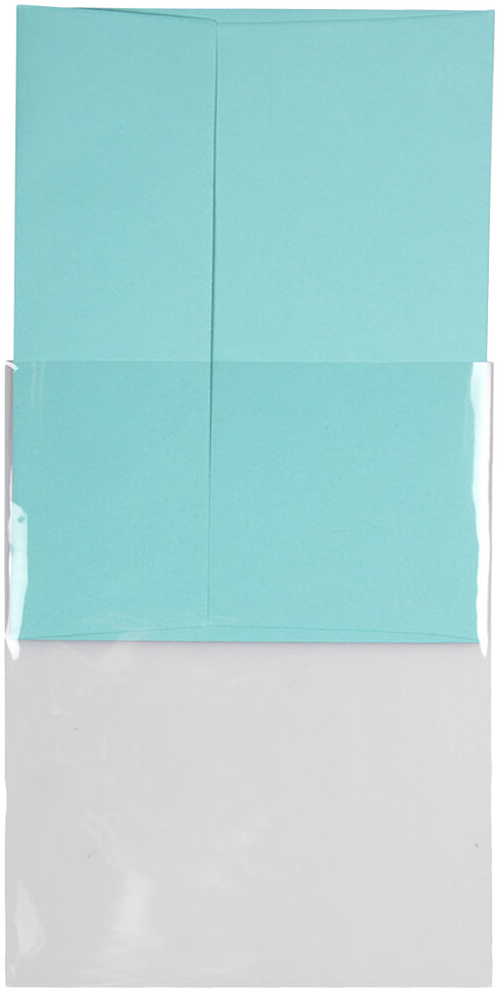 Clear 1.6mil 4 5/8 x 5 7/8 Cello No Flap Envelopes