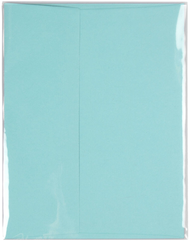 Clear 1.6mil 4 5/8 x 5 7/8 Cello No Flap Envelopes