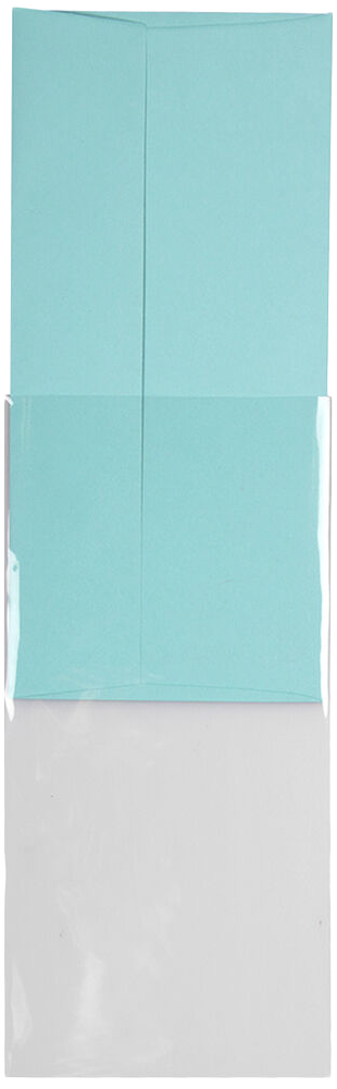 Clear 1.6mil #10 Policy Cello No Flap Envelopes (4 5/16 x 9 5/8)