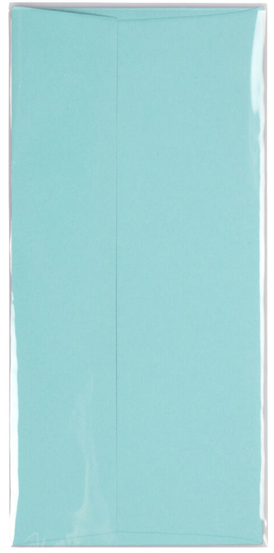 Clear 1.6mil #10 Policy Cello No Flap Envelopes (4 5/16 x 9 5/8)