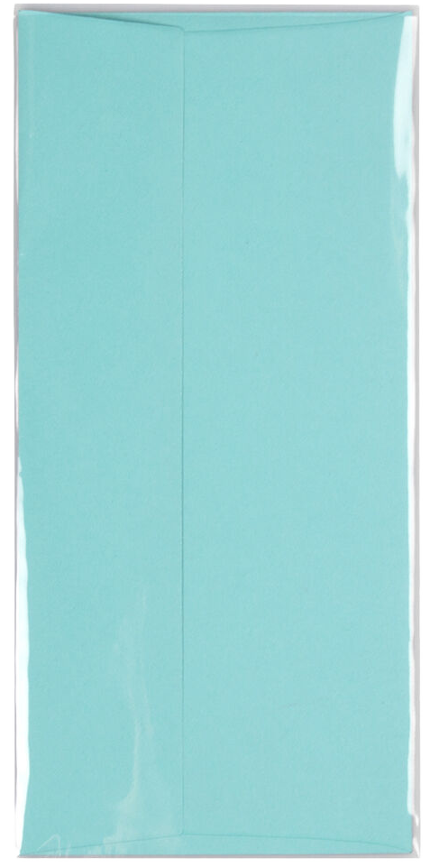Clear 1.6mil #10 Policy Cello No Flap Envelopes (4 5/16 x 9 5/8)