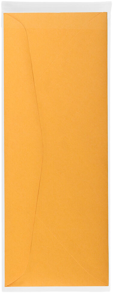 Clear 1.6mil 4 1/4 x 11 1/4 Cello Envelopes with Peel & Seal