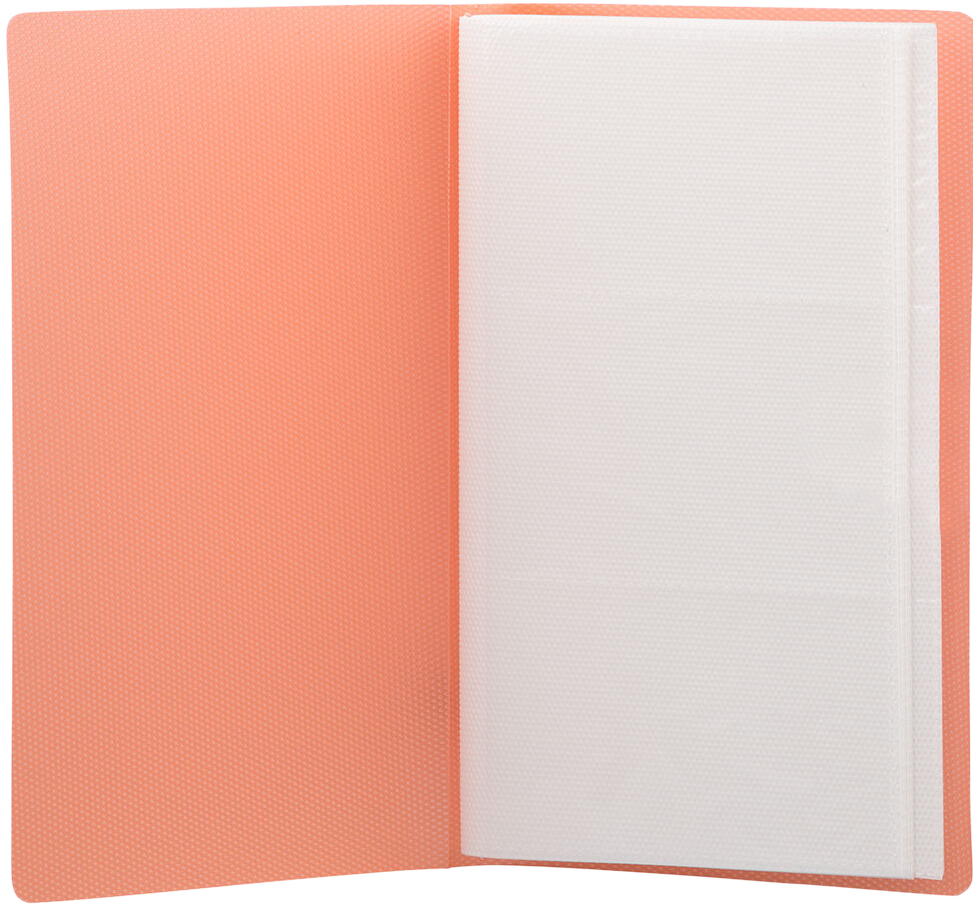 Orange Business Card 12 Page Book - 72 Card Capacity